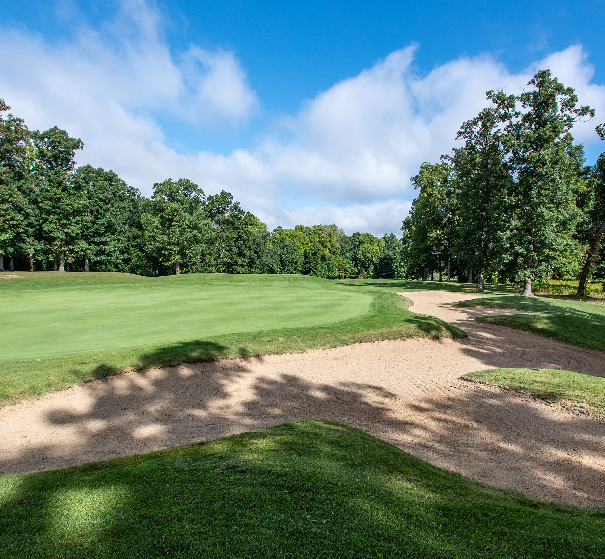 Pierce Lake Golf Course Green